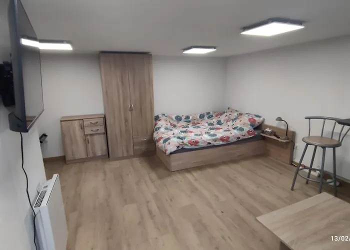 Deluxe Marc - De Tourisme Classé Avec Parking Gratuit Appartement *